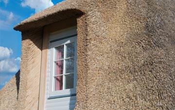 Shoregill thatch roof disadvantages